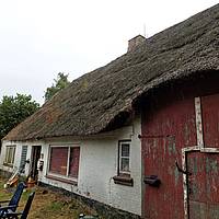 Preissenkung! -Winnert Nordfriesland | Sanierungsbedürftiges Reetdachhaus mit Blick auf Felder und Natur